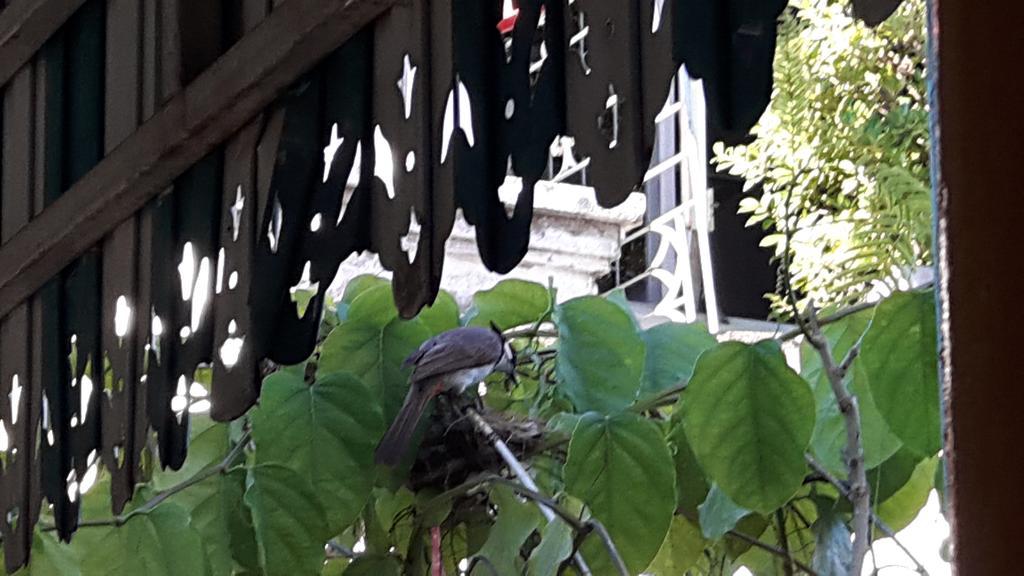 Hom Baan Chiang Mai Otel Dış mekan fotoğraf